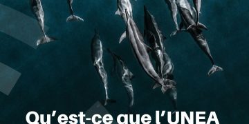 L’Assemblée des Nations Unies pour l’environnement : un rendez-vous décisif pour l’avenir de la planète