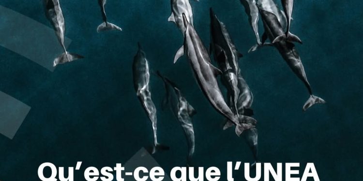 L’Assemblée des Nations Unies pour l’environnement : un rendez-vous décisif pour l’avenir de la planète