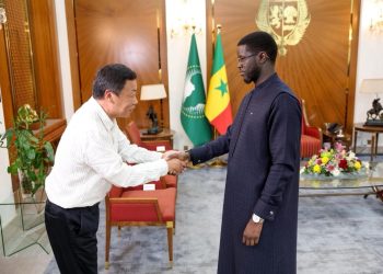 Énergies renouvelables : le Président Bassirou Diomaye Faye reçoit le groupe chinois Ansola S.A.