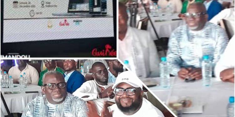 Mines en Guinée : Damanda, la plateforme qui révolutionne la gestion des titres miniers