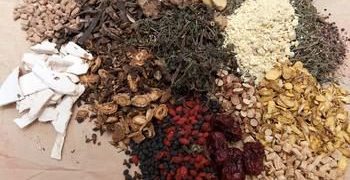 Médecine traditionnelle : 100 pays mobilisés pour allier savoirs anciens et science moderne