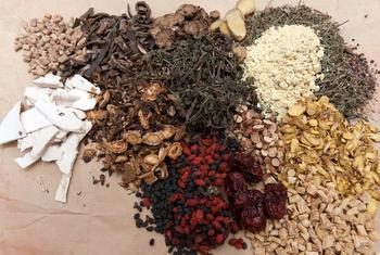 Médecine traditionnelle : 100 pays mobilisés pour allier savoirs anciens et science moderne