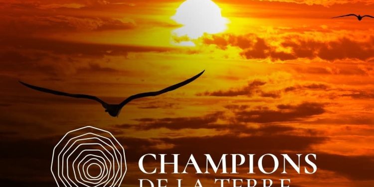 Environnement : cinq précurseurs du climat désignés Champions de la Terre 2025