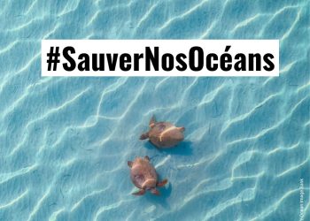 SAUVERNOSOCÉANS : L’ACCORD BBNJ ENTRE EN VIGUEUR, UN TOURNANT HISTORIQUE POUR LA HAUTE MER