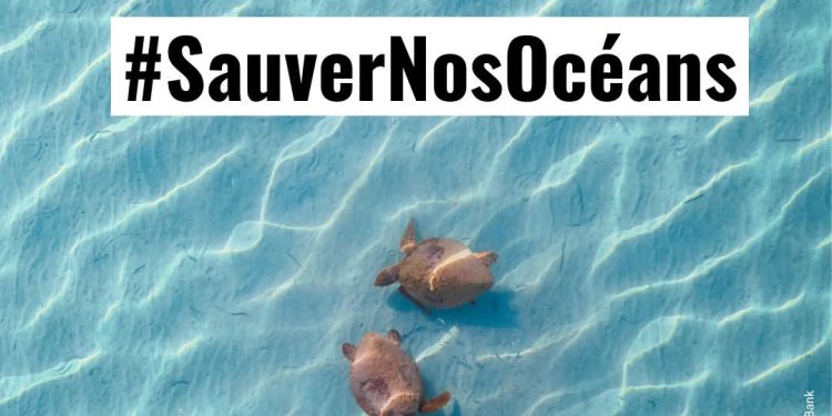 SAUVERNOSOCÉANS : L’ACCORD BBNJ ENTRE EN VIGUEUR, UN TOURNANT HISTORIQUE POUR LA HAUTE MER