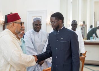 Projet NaturaGuinée : des activités vertes pour dynamiser les communautés riveraines du parc Pinselli-Soyah-Sabouyah