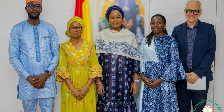 Climat et développement durable : la Guinée intensifie sa coopération avec les partenaires internationaux