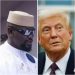 Mamadi Doumbouya, le nouvel allié africain de Trump? (Par Oumar Kateb Yacine)