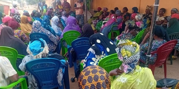 ANIES : Une séance de sensibilisation à Gangan pour promouvoir le respect des consultations prénatales