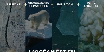 Océans en danger : préserver le poumon bleu de la planète