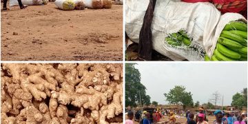 Samayah : un grand marché rural dynamique freiné par l’absence de route