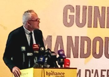 Diplomatie économique : la France et la Guinée posent les jalons d’un partenariat d’égal à égal