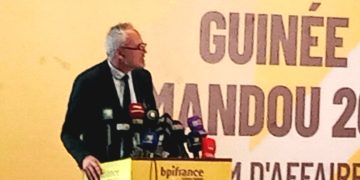 Diplomatie économique : la France et la Guinée posent les jalons d’un partenariat d’égal à égal