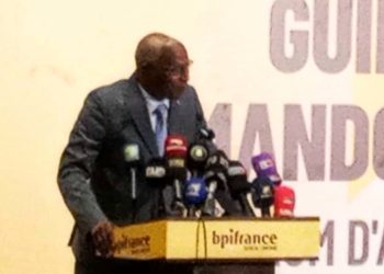 Diplomatie économique : la France et la Guinée posent les jalons d’un partenariat d’égal à égal