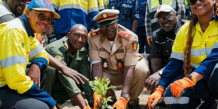 Rio Tinto et son engagement communautaire et environnemental : la pépinière de Dantilia confiée aux communautés
