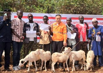 Boké-Tabaski: Le Consortium SMB-Winning distribue 304 moutons aux communautés riveraines de Boké et Télimélé