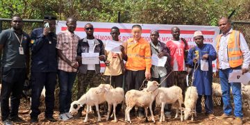 Boké-Tabaski: Le Consortium SMB-Winning distribue 304 moutons aux communautés riveraines de Boké et Télimélé