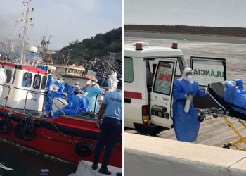 Hantavirus : le risque de propagation reste « absolument faible », insiste l&rsquo;OMS