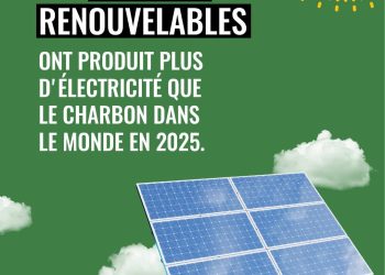 ÉNERGIE MONDIALE : LES RENOUVELABLES DÉPASSENT LE CHARBON, UNE PREMIÈRE HISTORIQUE