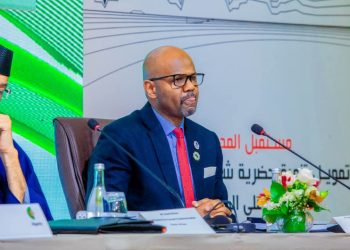 Afrique : la 45e Assemblée générale de Shelter Afrique au cœur des enjeux du logement durable