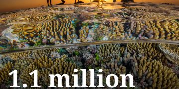 75 ans de partenariat entre le Japon et l&rsquo;UNESCO : une coopération exemplaire au service du développement durable mondial