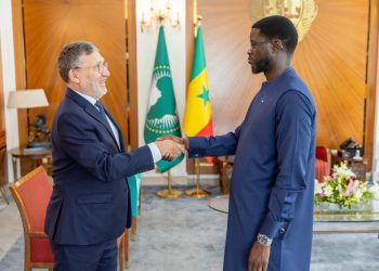 Sénégal : le Président Bassirou Diomaye Faye reçoit le Directeur général de COTRAPA pour renforcer les investissements privés