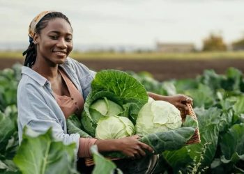 Banque africaine de développement : un don de 8,49 millions de dollars pour renforcer la résilience climatique du Malawi
