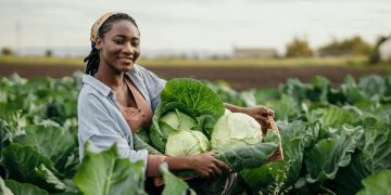 Banque africaine de développement : un don de 8,49 millions de dollars pour renforcer la résilience climatique du Malawi