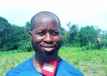 Kindia : le parcours inspirant d&rsquo;Ibrahéma Sory Sylla, un jeune biochimiste devenu entrepreneur agricole