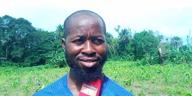 Kindia : le parcours inspirant d’Ibrahéma Sory Sylla, un jeune biochimiste devenu entrepreneur agricole