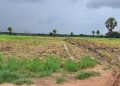 Boké-Mines : la Société TBEA-Ouest Africa Port And-Holding/WAPH lance les opérations d’implantation des infrastructures minières dans un climat apaisé