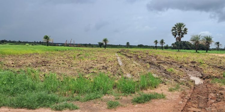 Boké-Mines : la Société TBEA-Ouest Africa Port And-Holding/WAPH lance les opérations d’implantation des infrastructures minières dans un climat apaisé