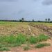 Boké-Mines : la Société TBEA-Ouest Africa Port And-Holding/WAPH lance les opérations d’implantation des infrastructures minières dans un climat apaisé