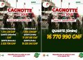 Courses hippiques : les grosses cagnottes de la LONAGUI attendues ce samedi 15 août