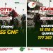 Les grosses cagnottes du jour : jusqu’à 177 millions GNF à gagner