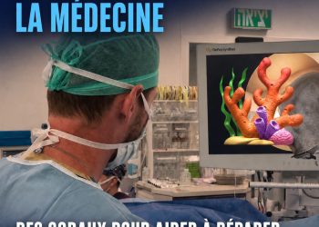 Médecine : en Israël, un implant à base de corail ouvre une nouvelle voie pour réparer le cartilage du genou