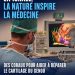 Médecine : en Israël, un implant à base de corail ouvre une nouvelle voie pour réparer le cartilage du genou