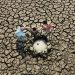 Climat : António Guterres appelle les dirigeants du monde à agir face à l’urgence climatique