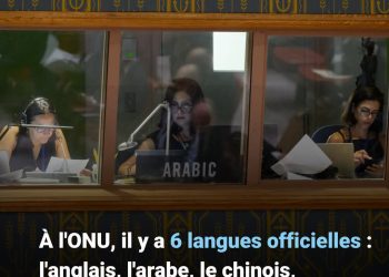 Journée internationale de la traduction : les langues au service du dialogue et de la coopération