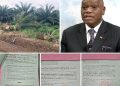 Cameroun : la cession des terres de la CDC au cœur d’une controverse dans le Fako